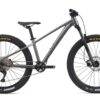 giant-stp-26-mtb-mountainbike- metallic black