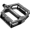 Giant Original Flat Pedal schwarz.jpg