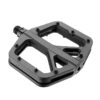 Giant Pinner Comp Flat Pedal schwarz.jpg