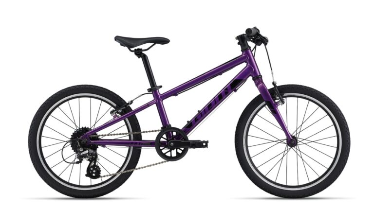 Giant ARX 20 purple.jpg