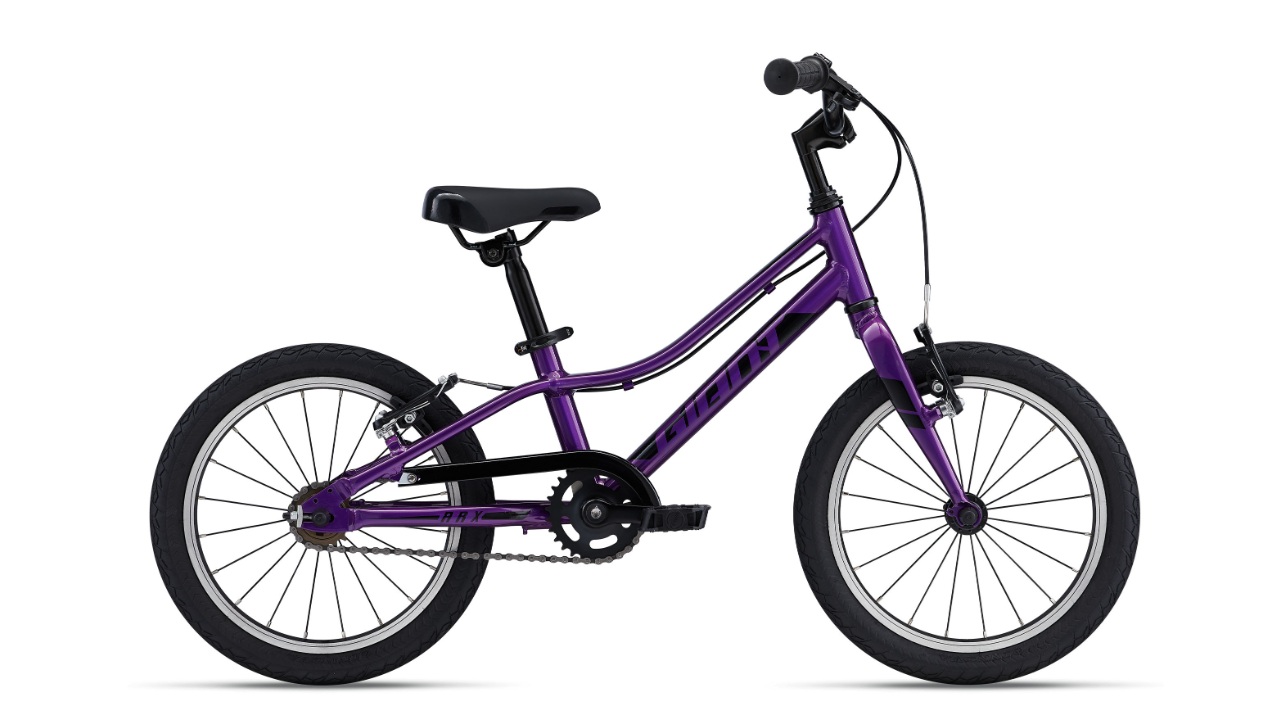 Giant ARX 16 purple.jpg