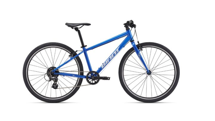 ARX 26 2025 cobalt.jpg