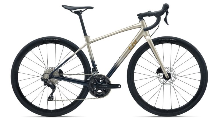 LIV Avail AR 1 Sandshell Cold Night - Endurance.jpg