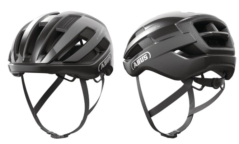 Abus WingBack titan.jpg