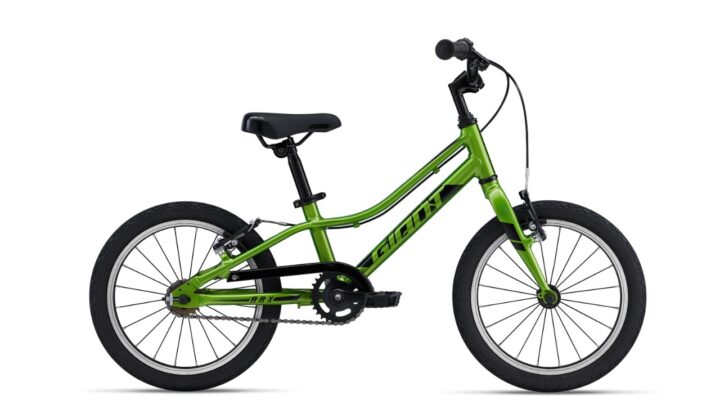 Giant ARX 16 metallic green.jpg