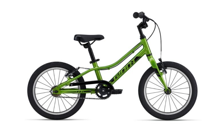 Giant ARX 16 metallic green.jpg