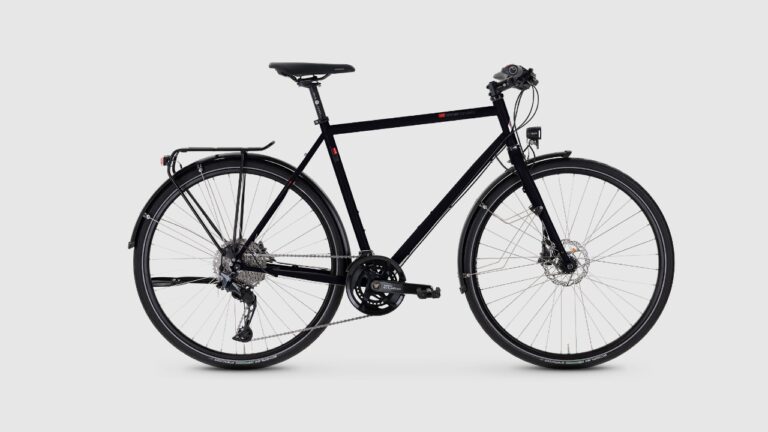 VSF Fahrradmanufaktur T-700 - Kette - Cues.jpg