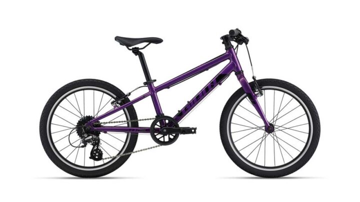 giant-arx-20-kinderrad-purple