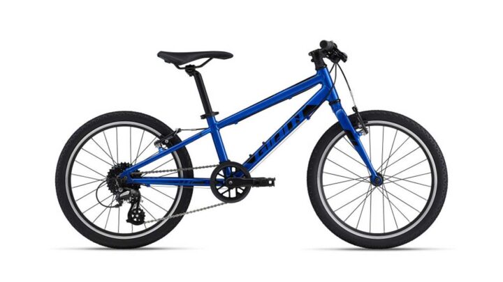 giant-arx-20-kinderrad-sapphire