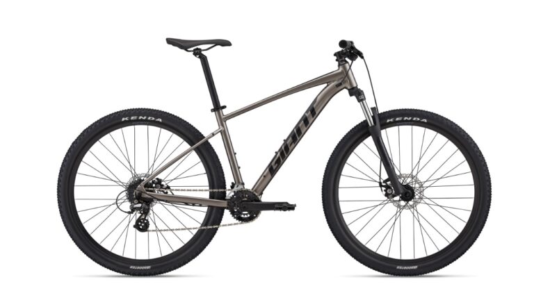 Giant Talon 4 metal 2022.jpg