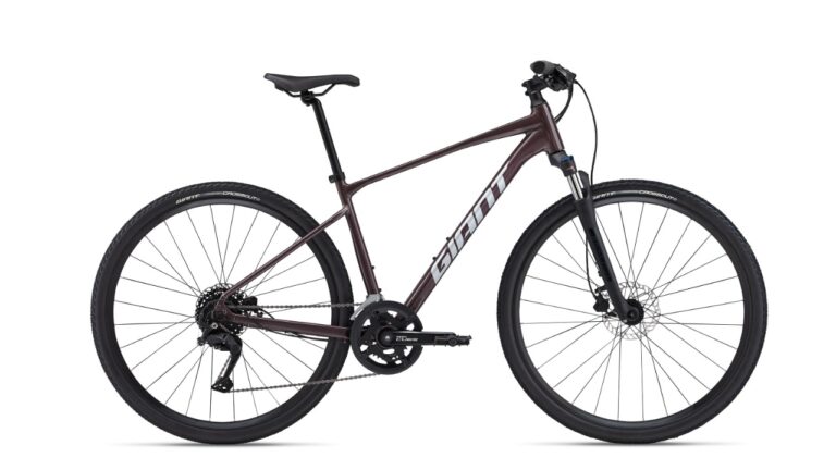Giant Roam Disc 2 Charcoal Plum - Crossbike.jpg