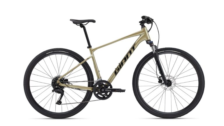 Giant Roam Disc 2 Bay Leaf - Crossbike.jpg
