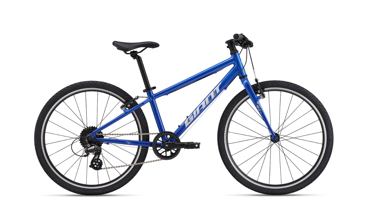 Giant ARX 24 2025 Cobalt.jpg