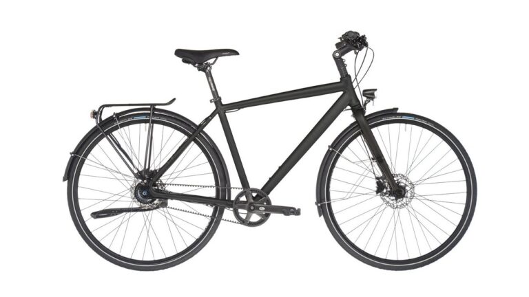 Rabeneick TS5 - Shimano Nexus 8-Gang Freilauf  Disc Gates He.jpg