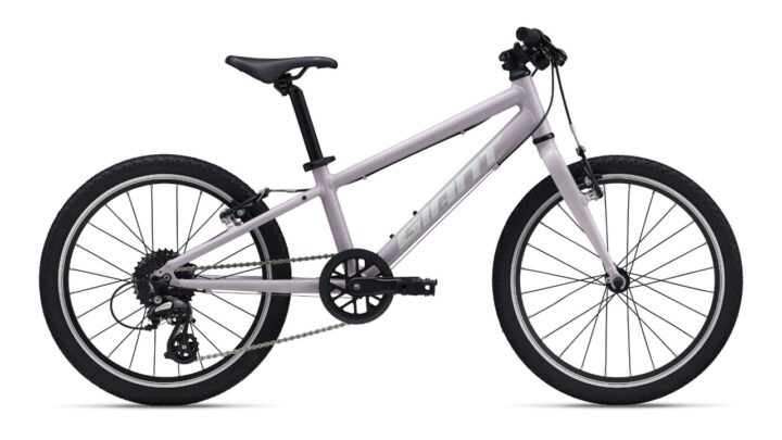 Giant ARX 20 Misty Lilac.jpg