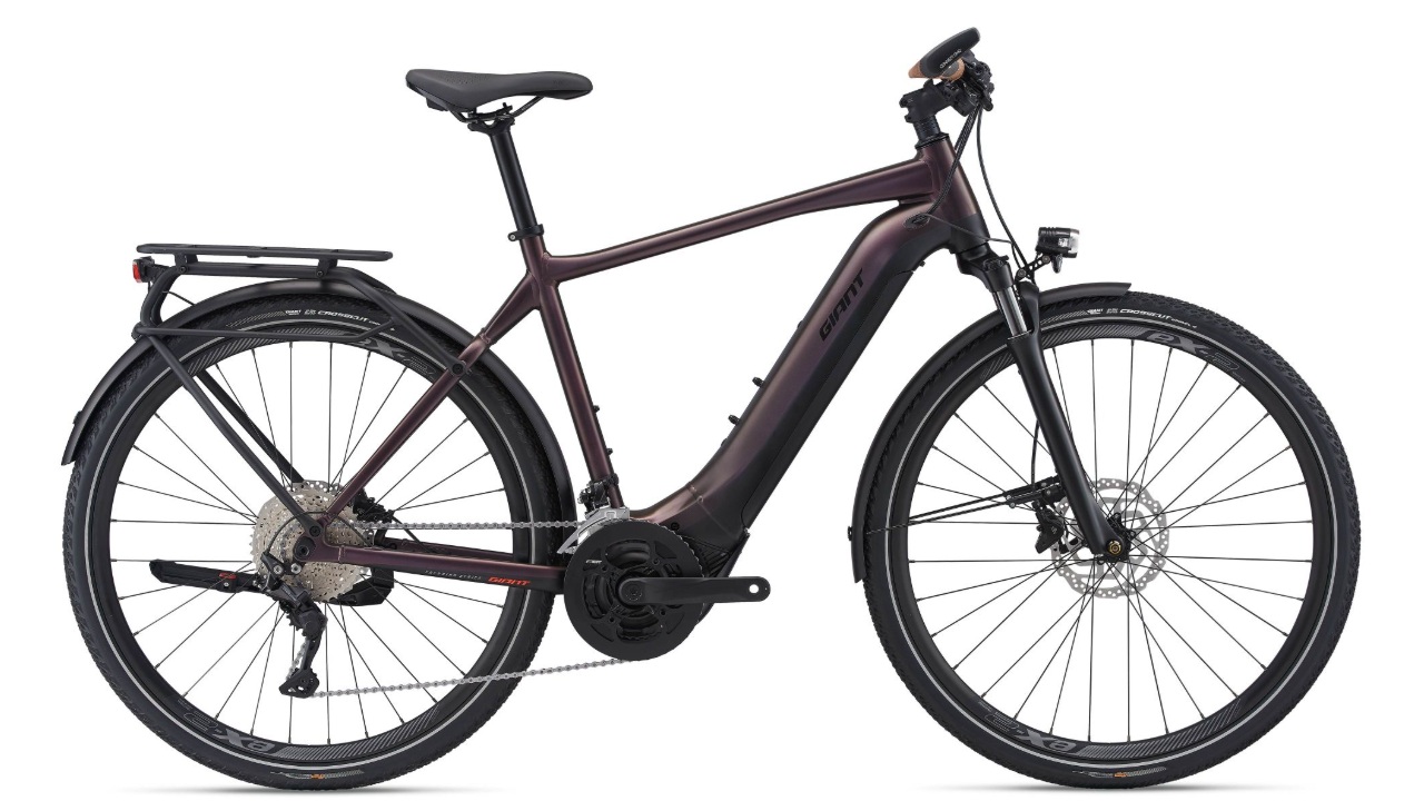 Giant Explore E+ Pro 1 GTS-RC Rosewood.jpg